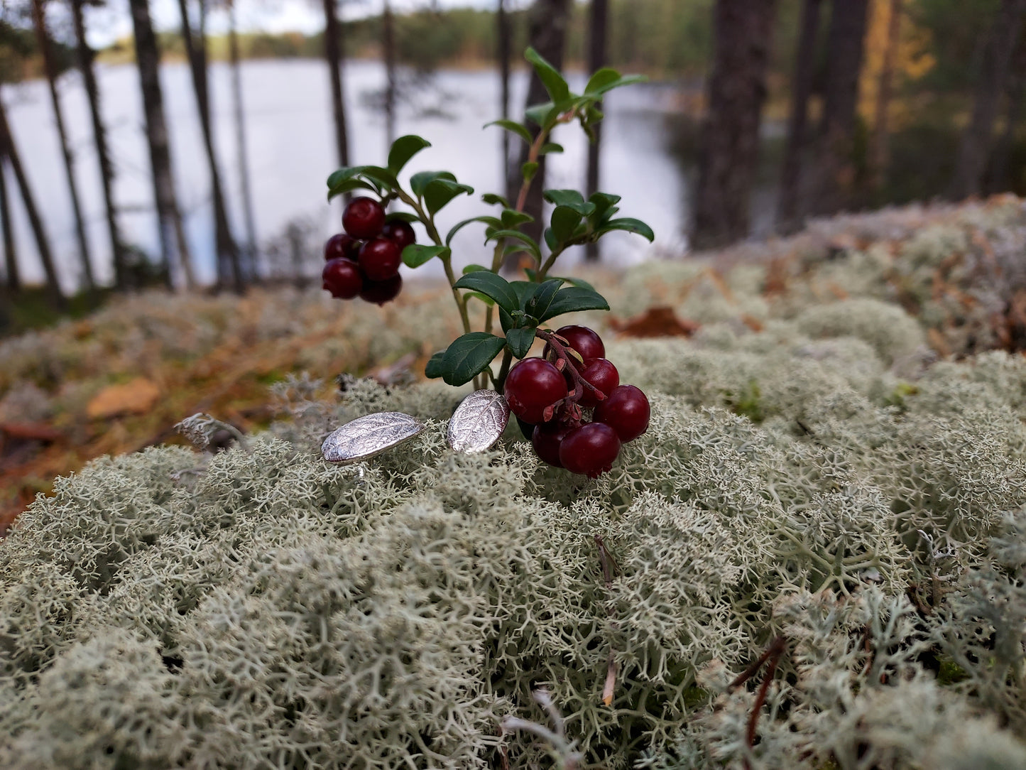 Lingonblad, örhängen med tappar