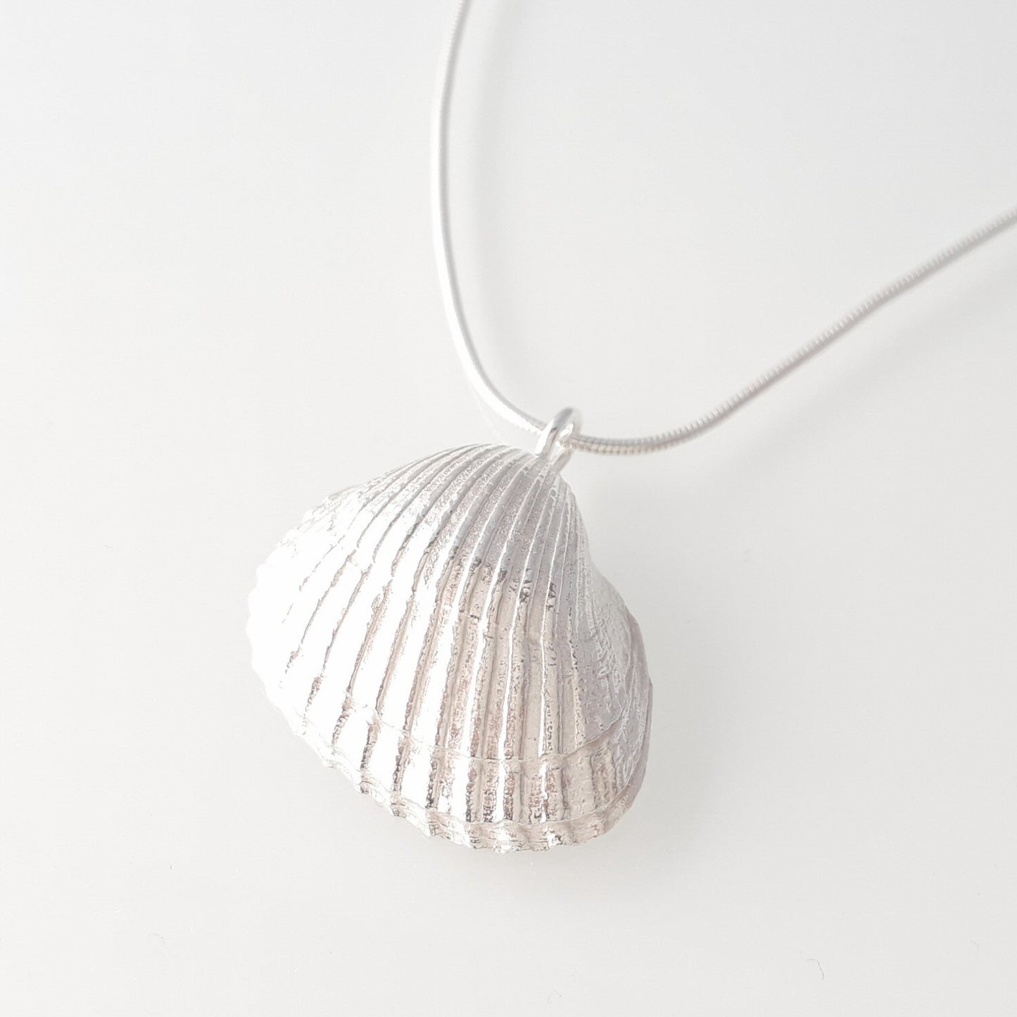 Cockle, big-size cockle necklace with snake chain