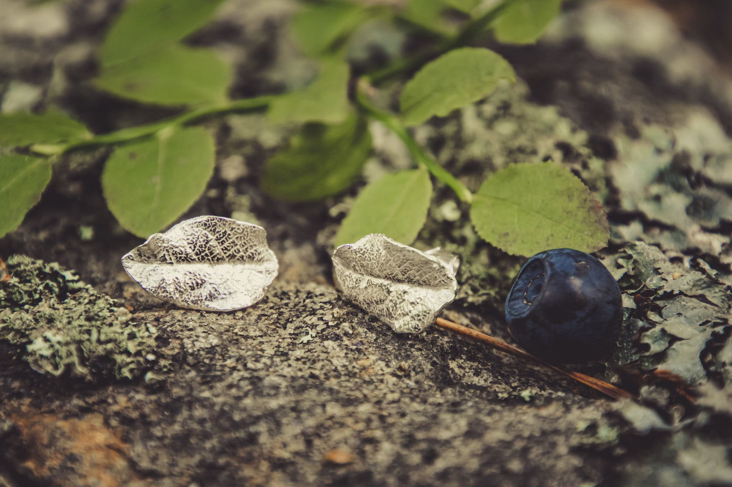Blåbärsblad, örhängen med tappar