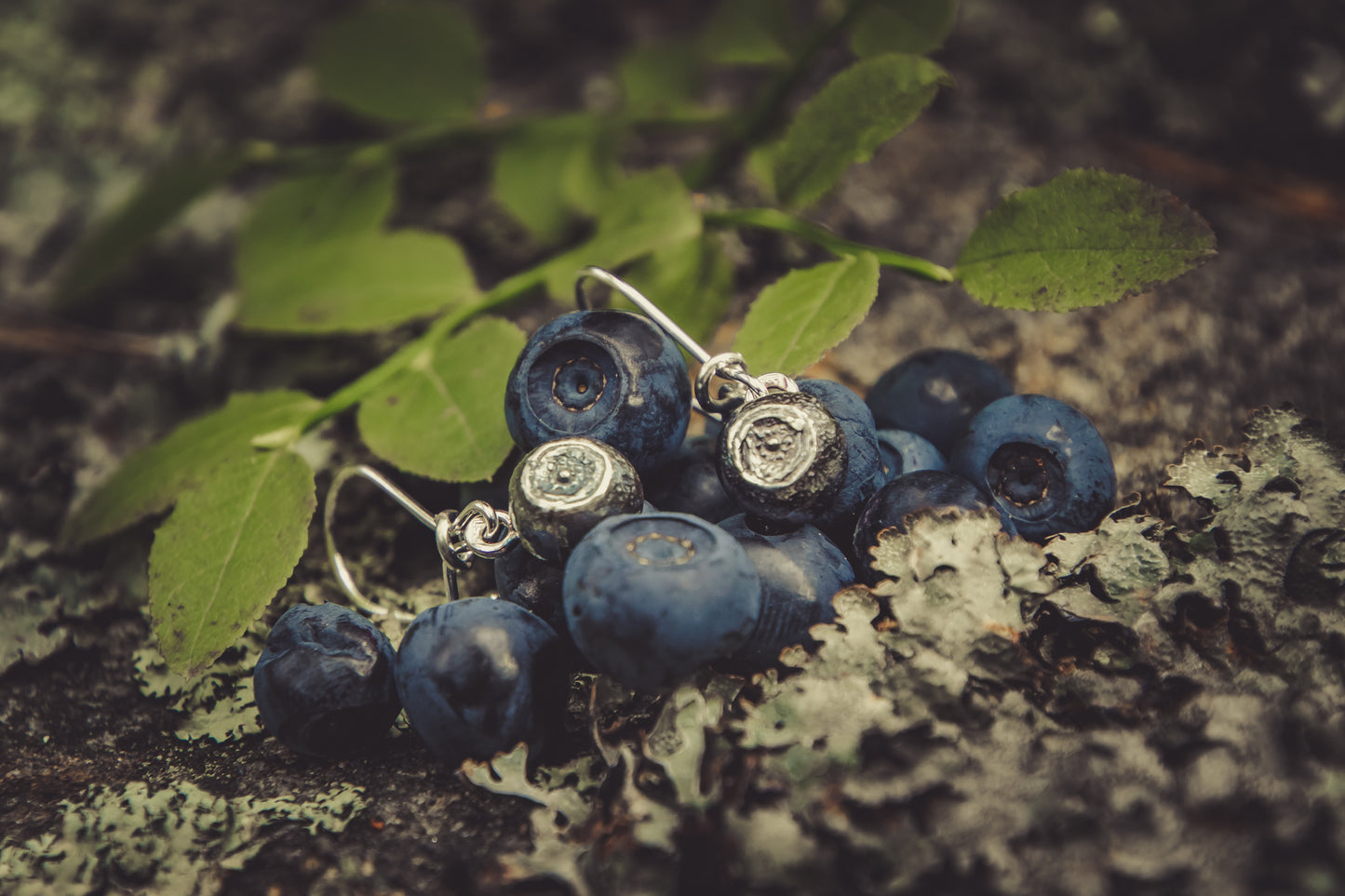 Blåbär, örhängen med krokar