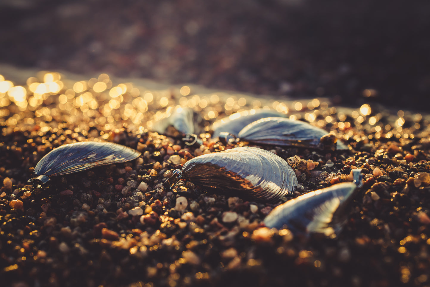 Blåmussla (mellan) halssmycke med pansarkedja