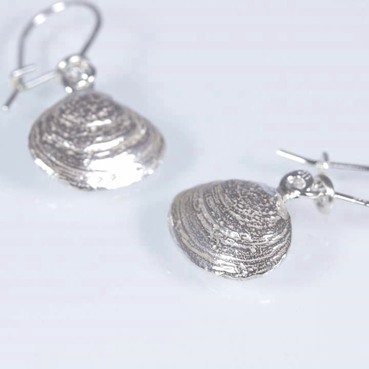 Baltic sea clam, earrings with hooks