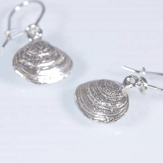 Baltic sea clam, earrings with hooks