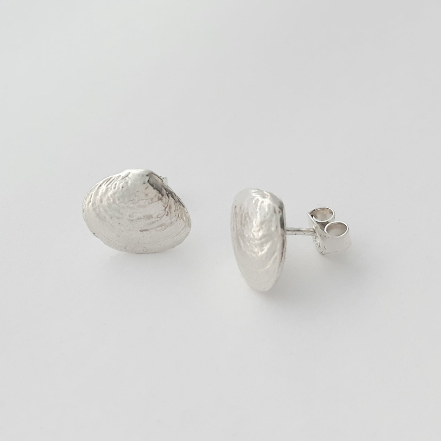 Baltic sea clam, earrings with studs
