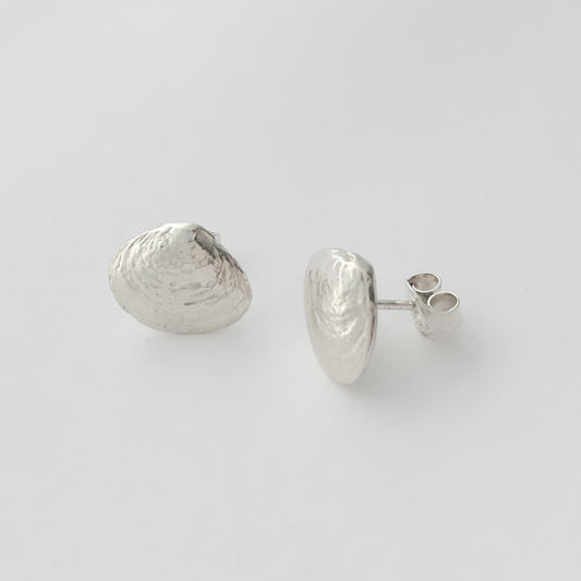 Baltic sea clam, earrings with studs
