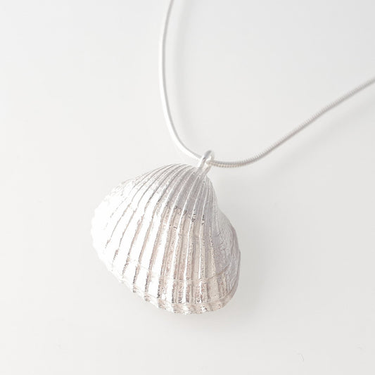 Cockle, big-size cockle necklace with snake chain
