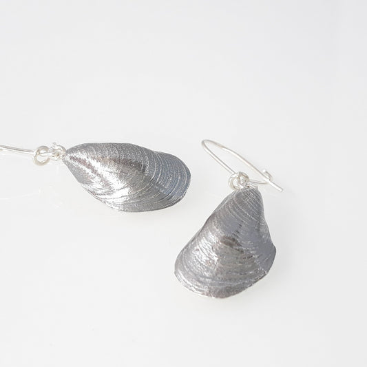 Blue mussle, medium-size mussle earrings with hooks