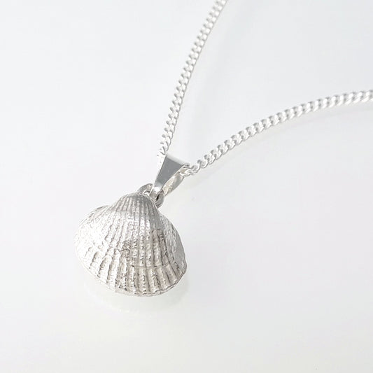 Cockle, small-size cockle necklace with curb chain