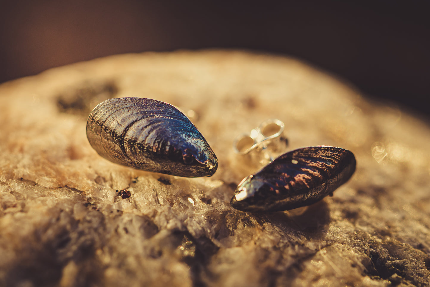 Blue mussle, small-size mussle earrings with pins