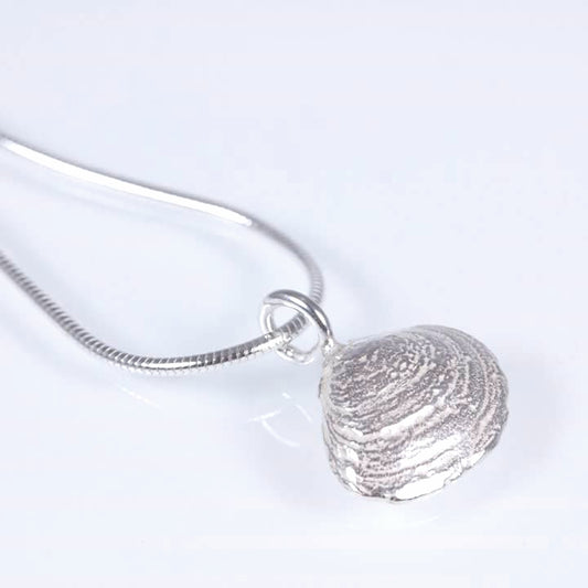 Baltic sea clam, necklace with snake chain